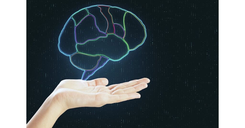 Nervous System & Self-Regulation