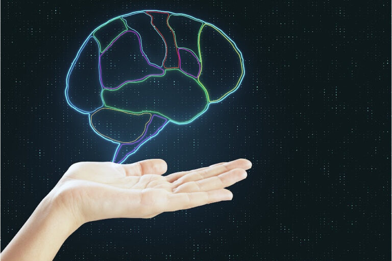 Nervous System & Self-Regulation